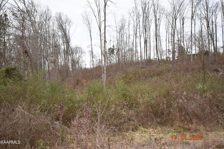 Lot 3 Maple Grove Rd  Ten Mile TN 37880 photo