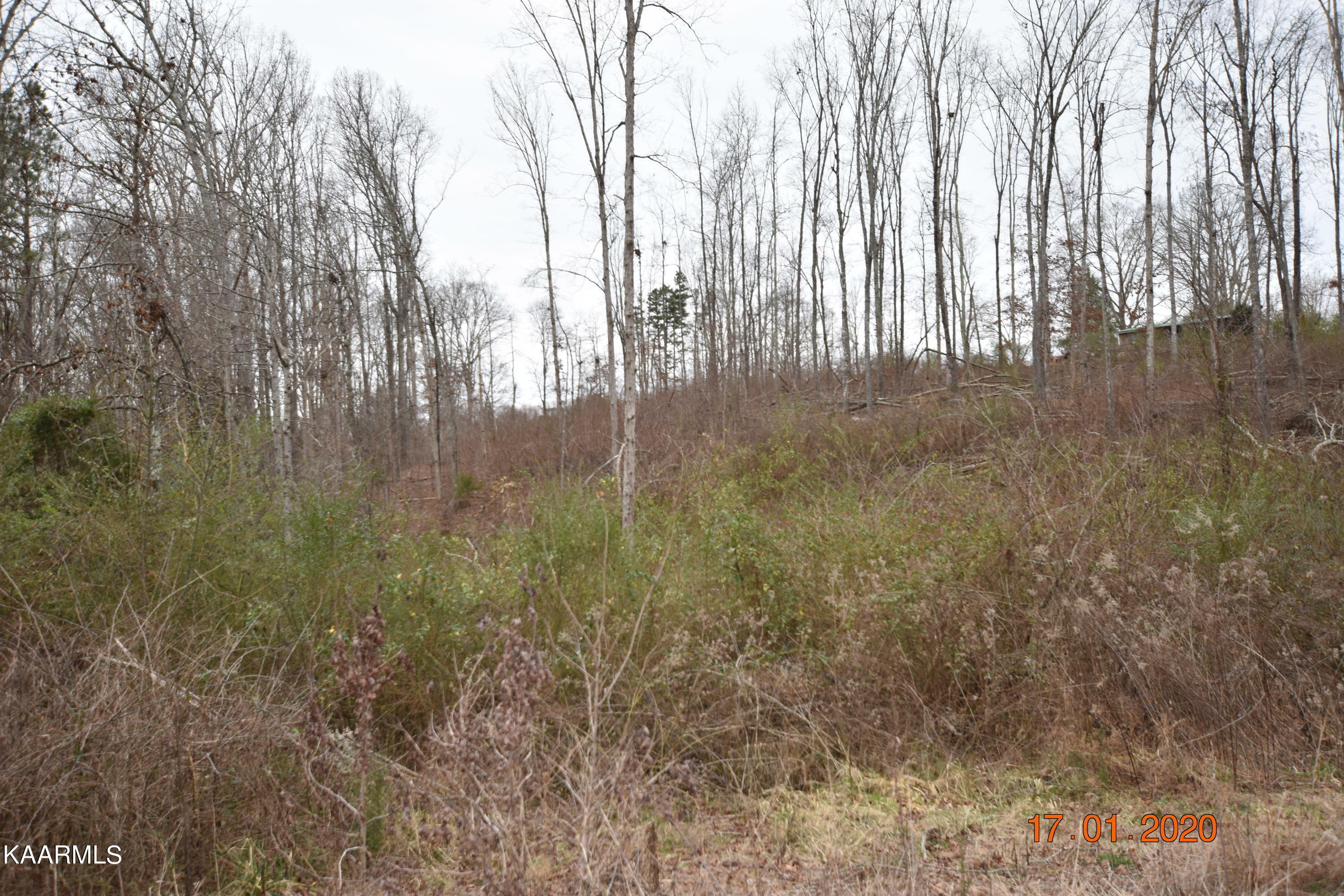 Property Photo:  Lot 3 Maple Grove Rd  TN 37880 