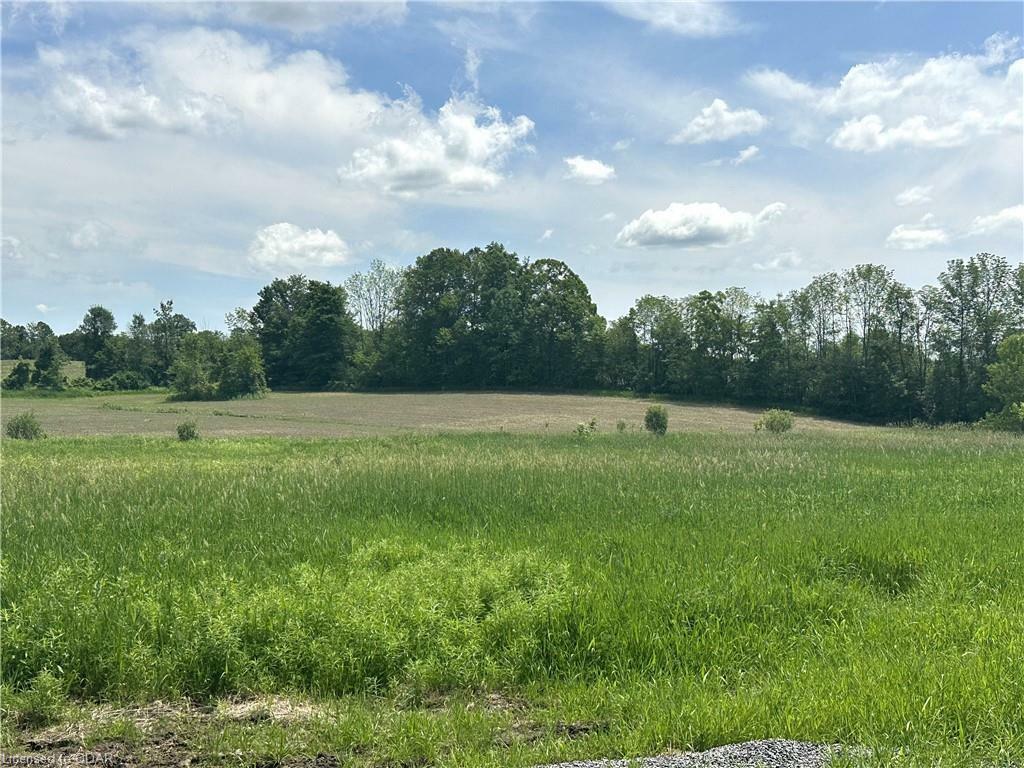 Property Photo: 0 Hwy 62 Highway ON K0K2K0