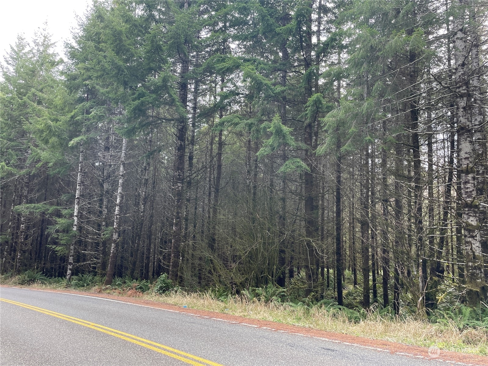 Property Photo: 0 South Fork Road WA 98577
