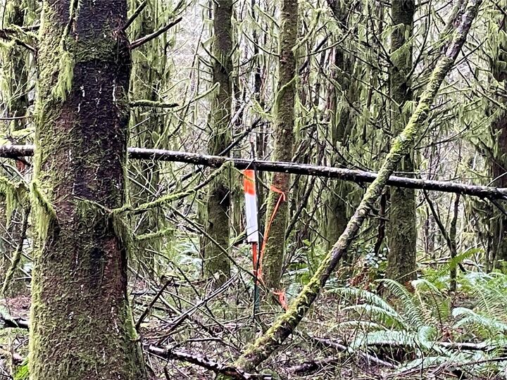 Property Photo:  0  Big Hanaford Road  WA 98531 