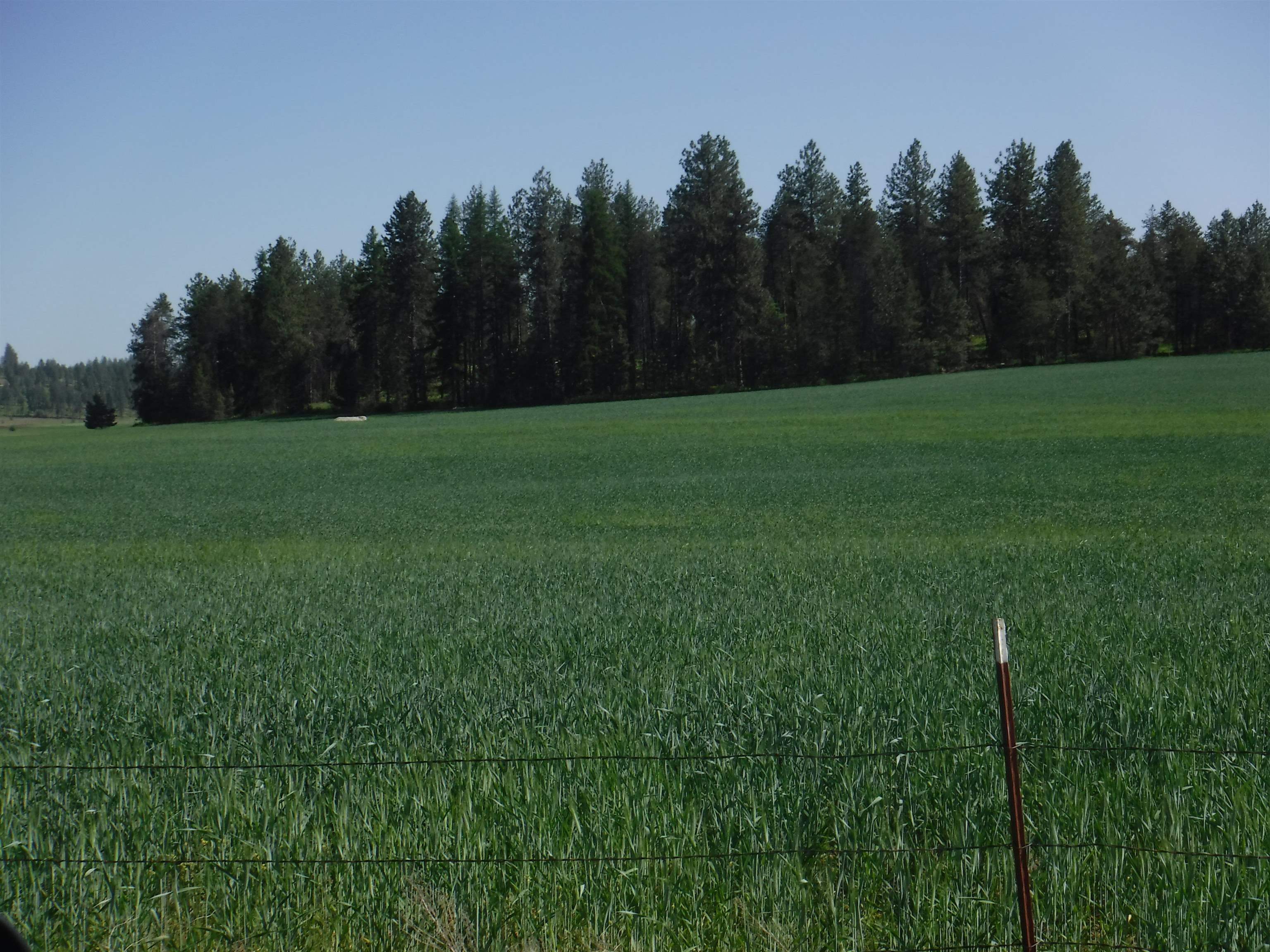 Property Photo: Lot B Staley Rd WA 99006