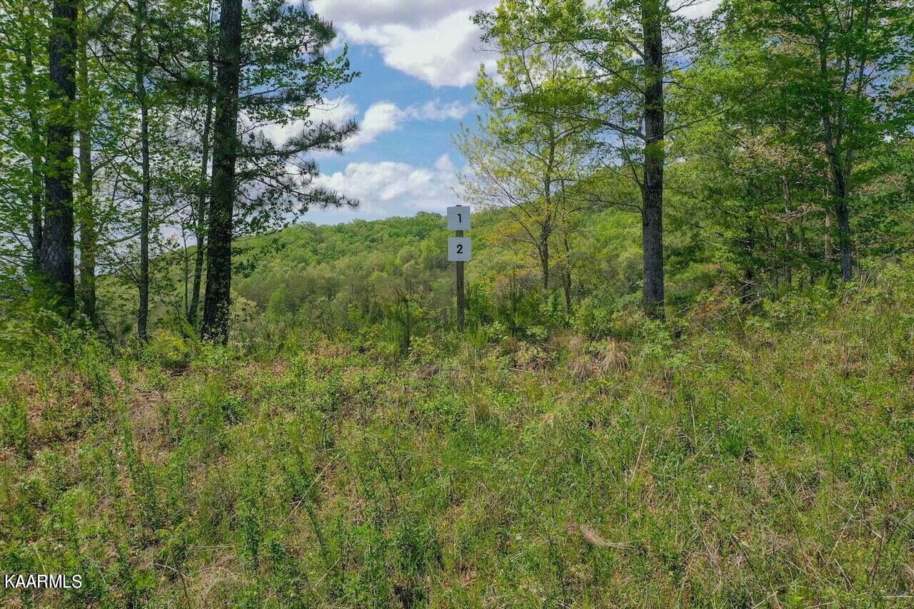 Lot 1 &Amp 2 Mountain Ash Way  Sevierville TN 37876 photo