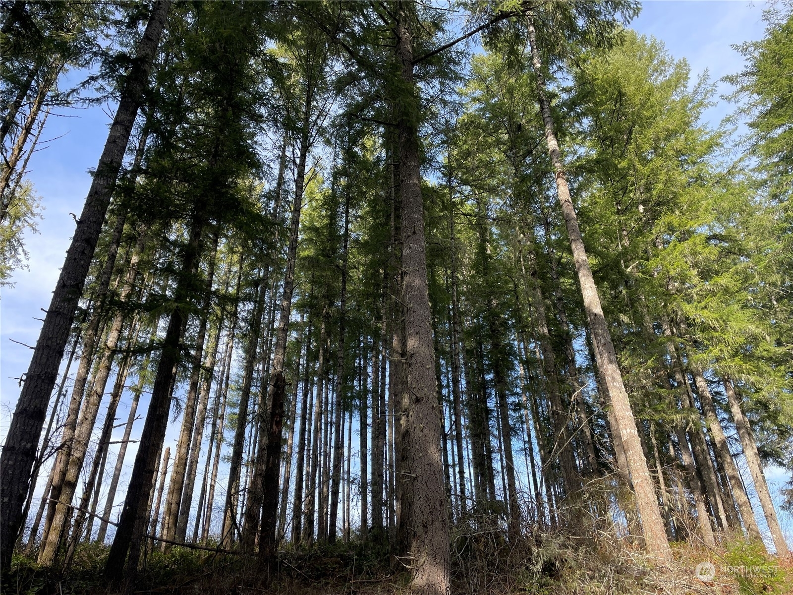 Property Photo: 0 Wiley Road WA 98645