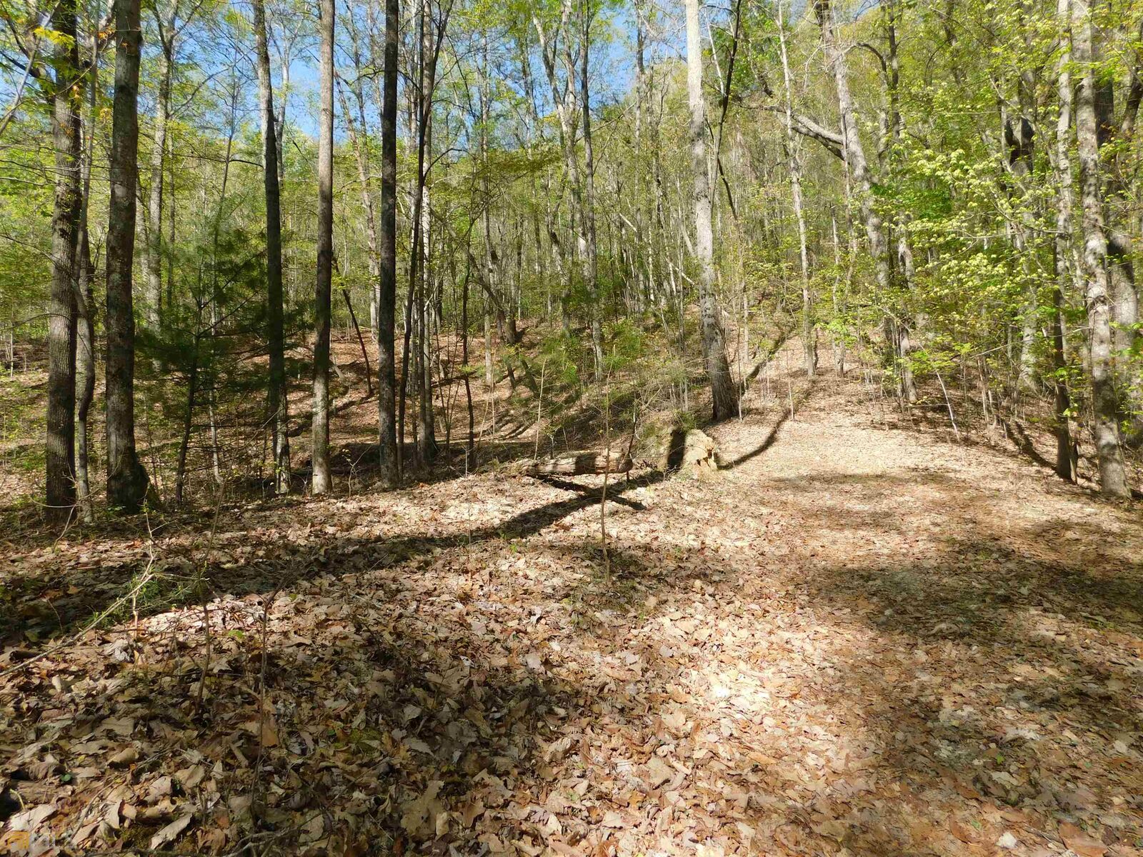 Property Photo: 0 Northlake GA 30571
