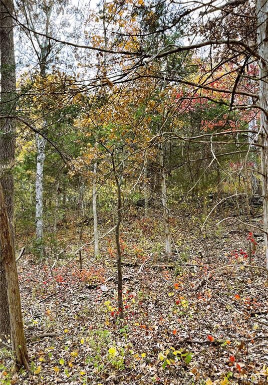 Property Photo: 3539 Red Oak MO 63052