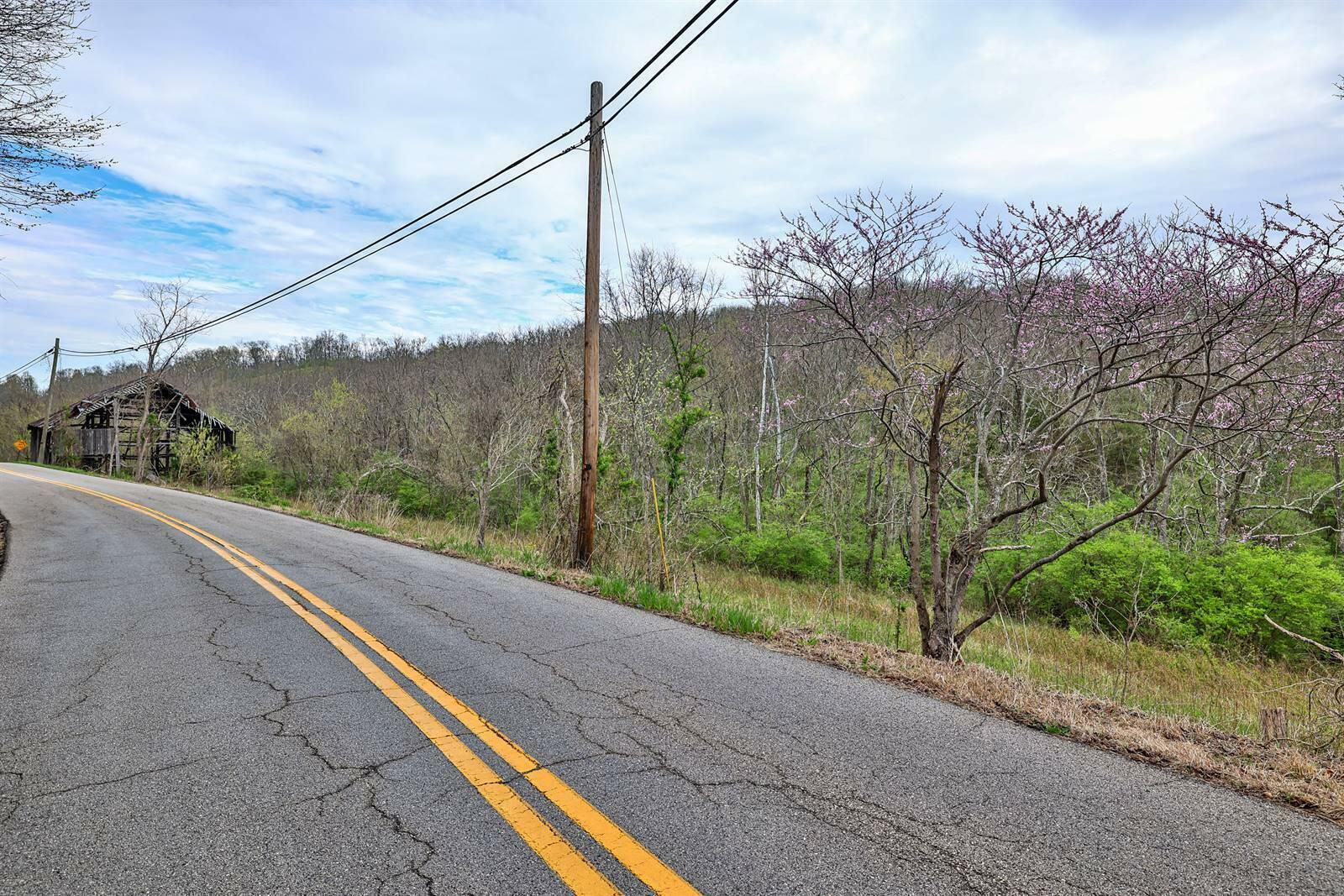 Property Photo:  23.39 Ac Bradford Road  KY 41043 