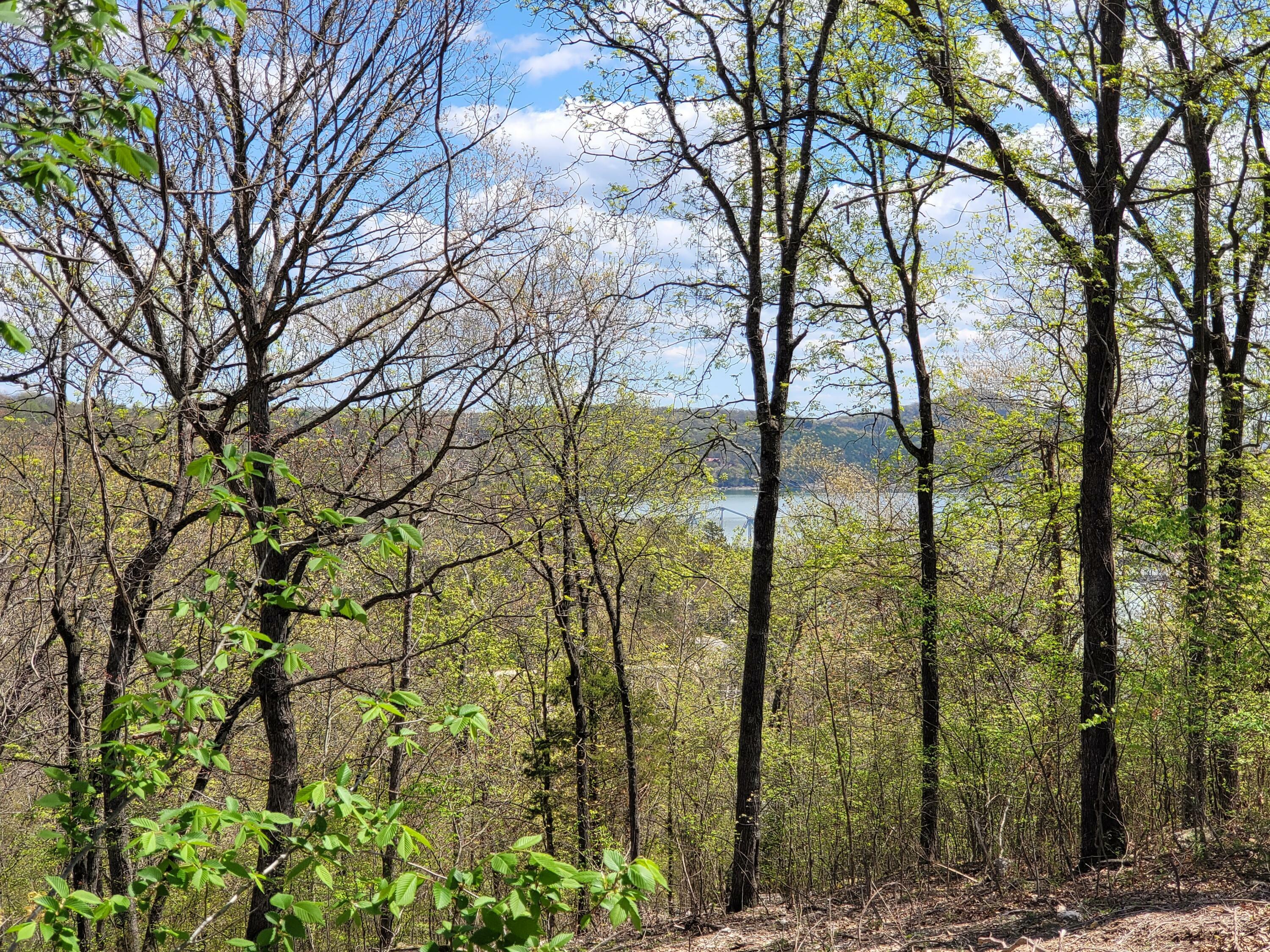 Property Photo:  Lot 18 The Bluffs  MO 65747 