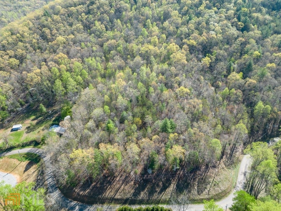 Property Photo:  20+Ac Cynth Creek Road  GA 30546 