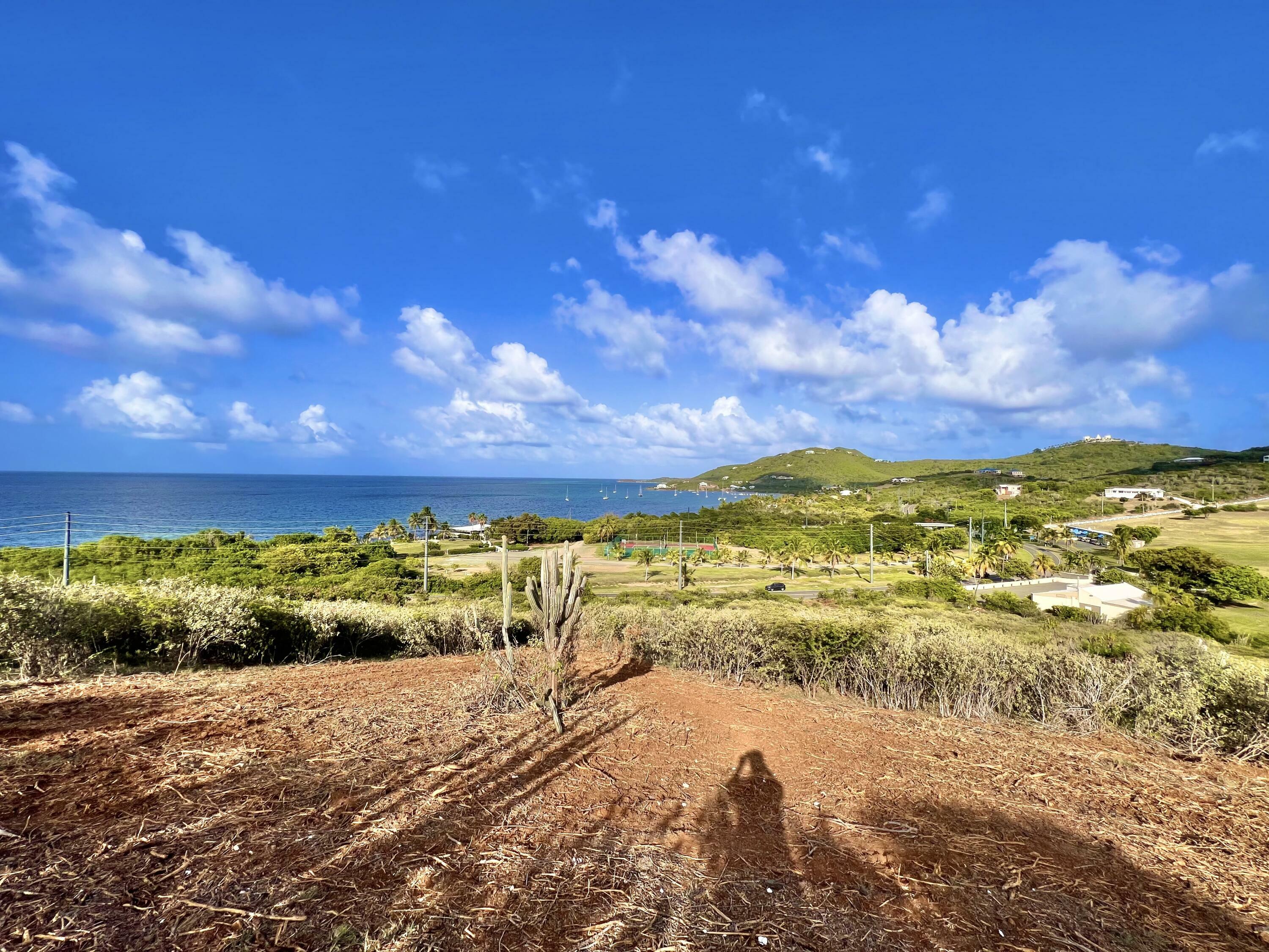 Property Photo:  31 Teagues Bay Eb  VI 00820 