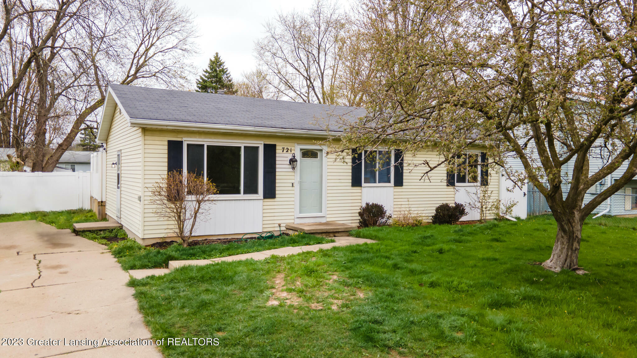 Property Photo:  721 Louisa Street  MI 48911 