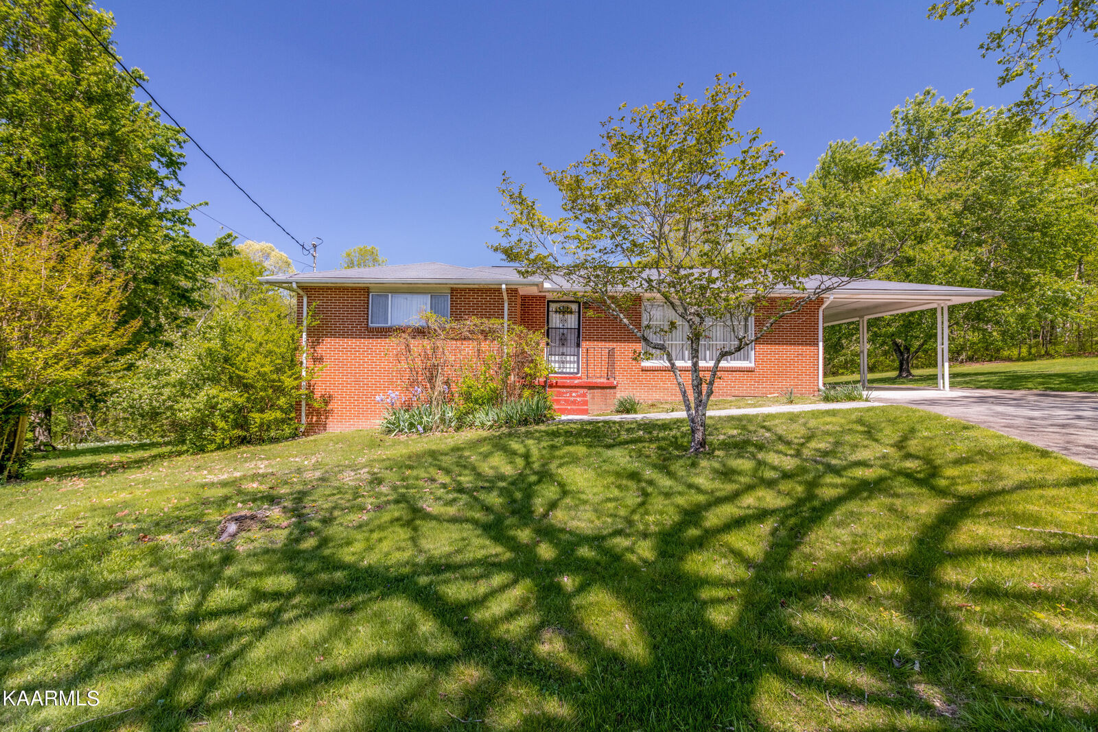 Property Photo:  504 Alta Vista Rd  TN 37854 