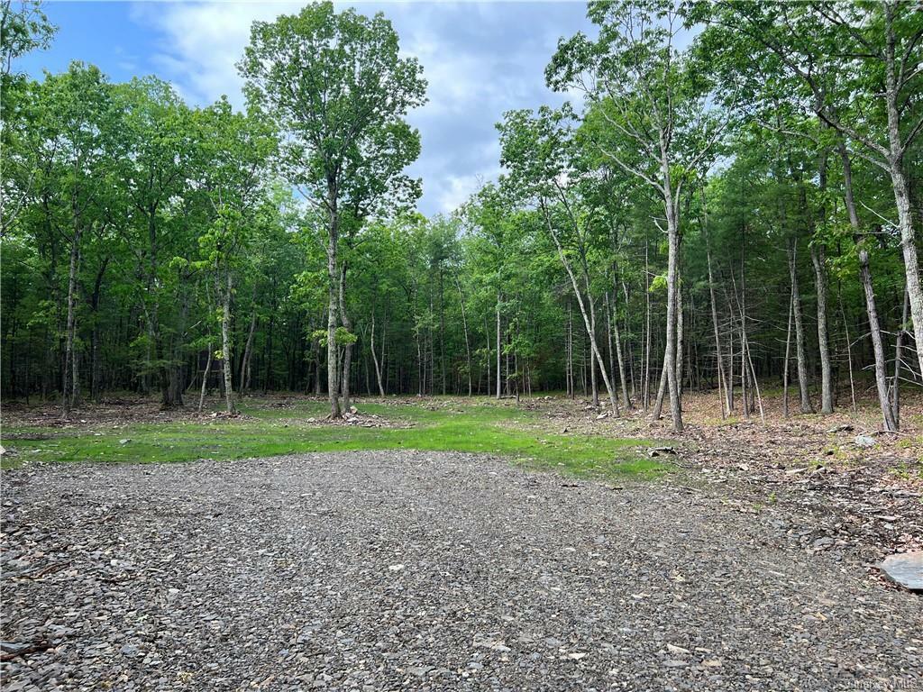 Property Photo:  Tbd Dillon Drive  NY 12401 