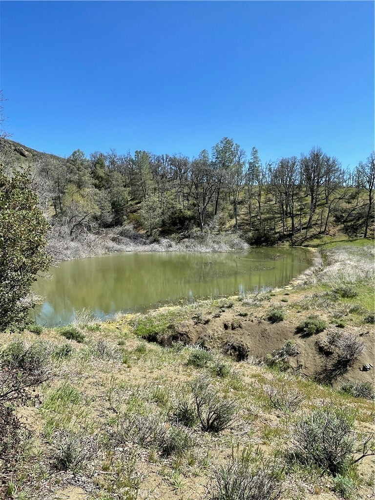 Property Photo:  9650 Rocky Creek Road  CA 95457 