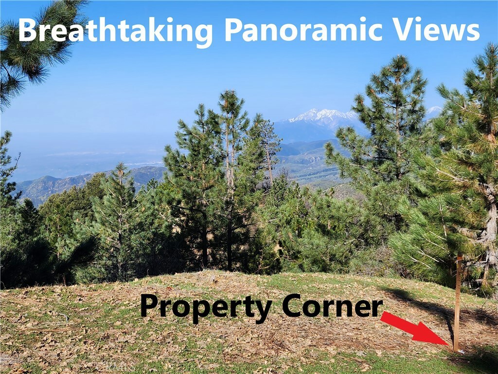Property Photo:  30110 Skyline  CA 92382 