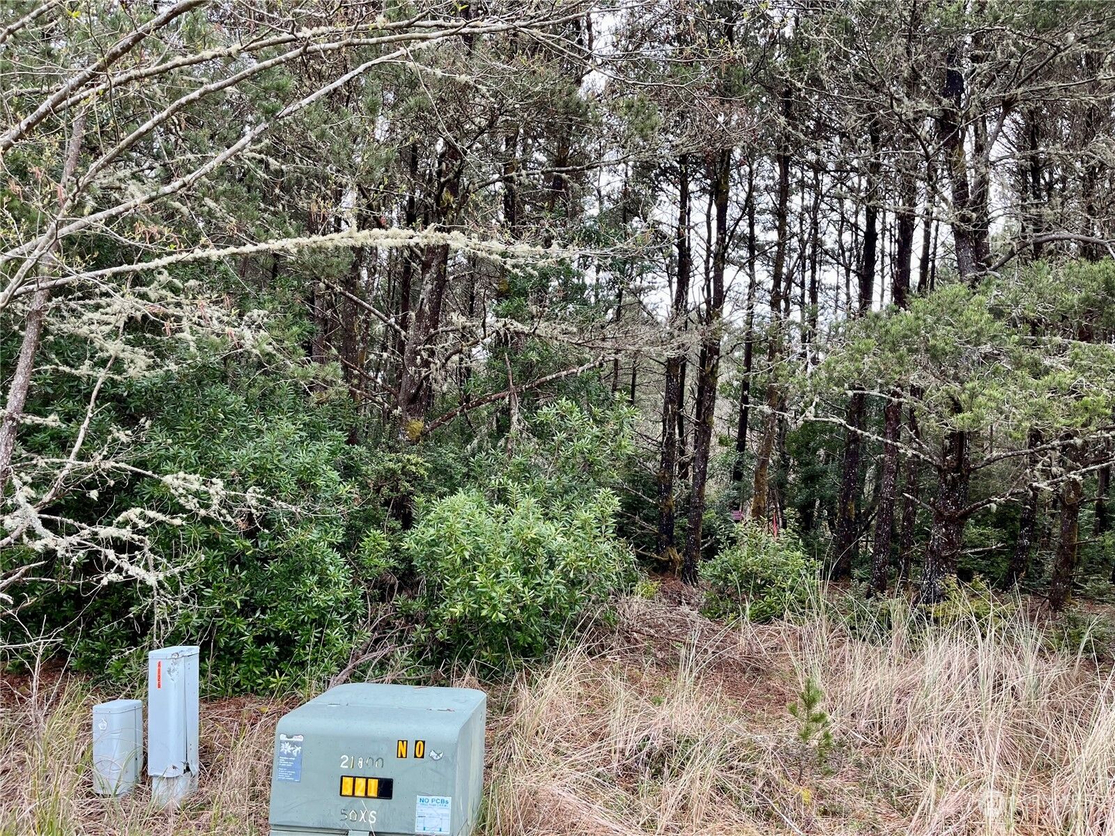 Property Photo:  0 00 Surf Street  WA 98595 