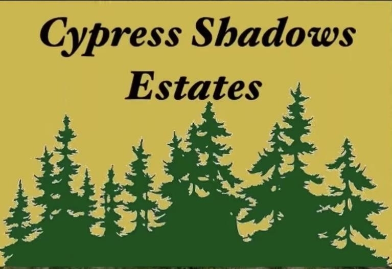 2845 Cypress Shadows Lane  Orange TX 77632 photo