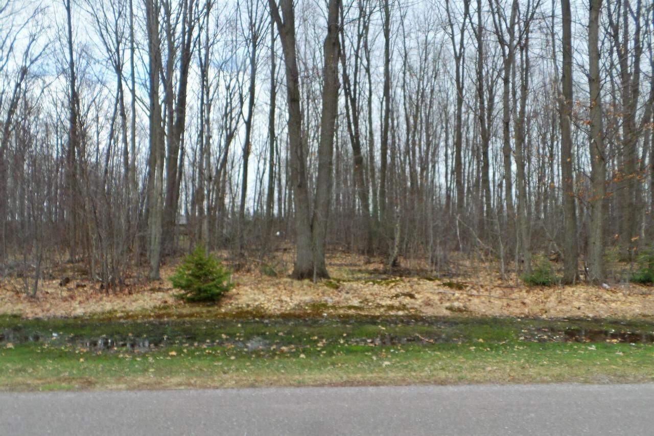 Property Photo: 000 Oak Ridge Road WI 54451