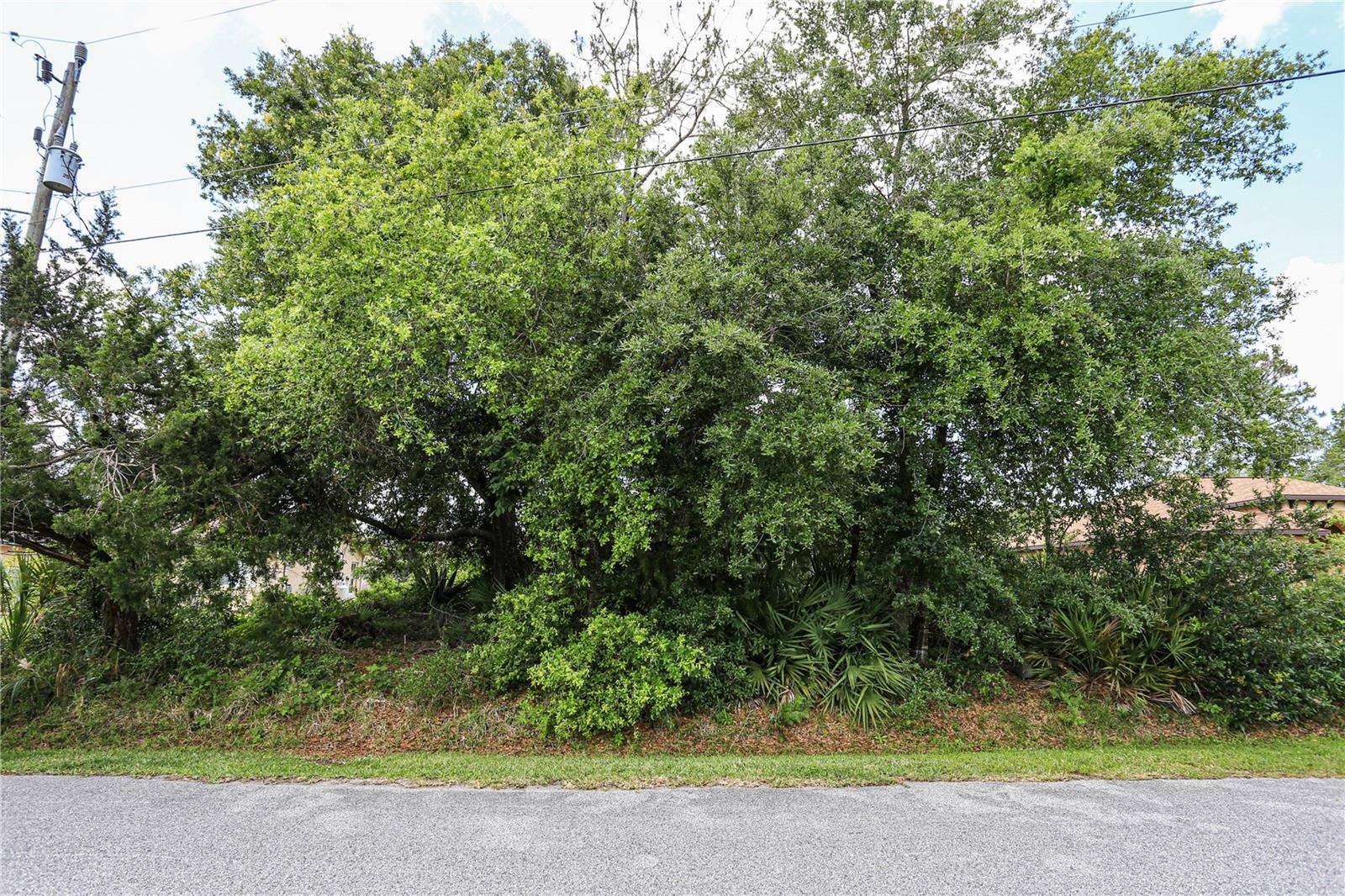 Property Photo:  22 Pine Cottage Lane  FL 32164 