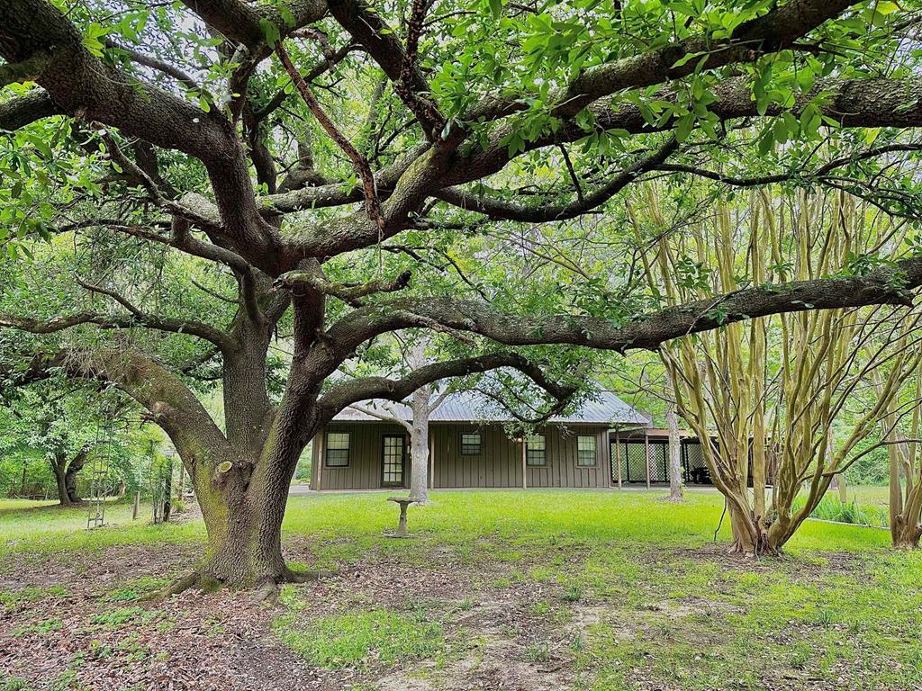 Property Photo:  347 County Road 2033  TX 75935 