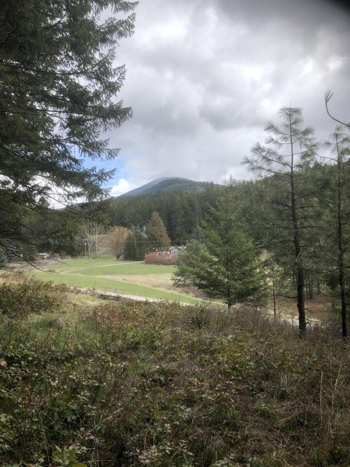 Xxx Flowery Trail Rd  Chewelah WA 99109 photo