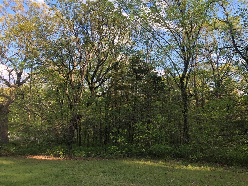 Property Photo:  Tract 2 Silver Ridge Road  AR 72632 