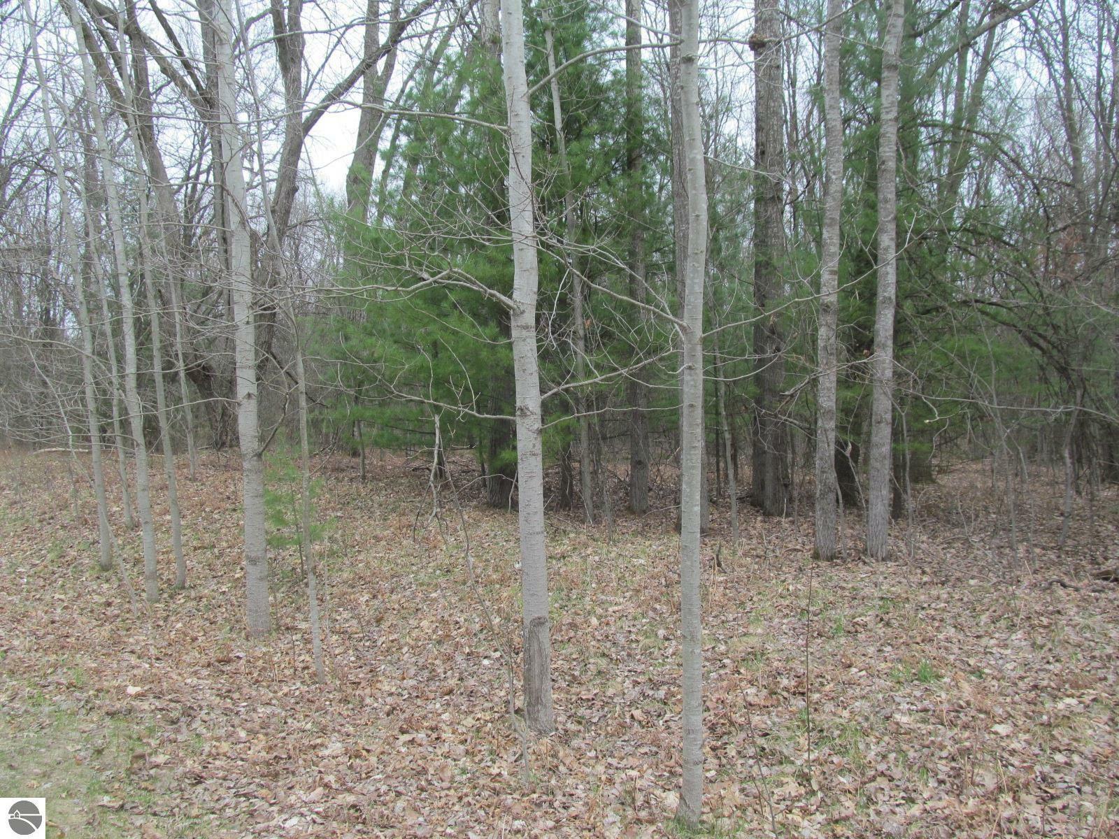 Property Photo:  Lot 25 River Woods Road River Woods Estates #2  MI 49651 