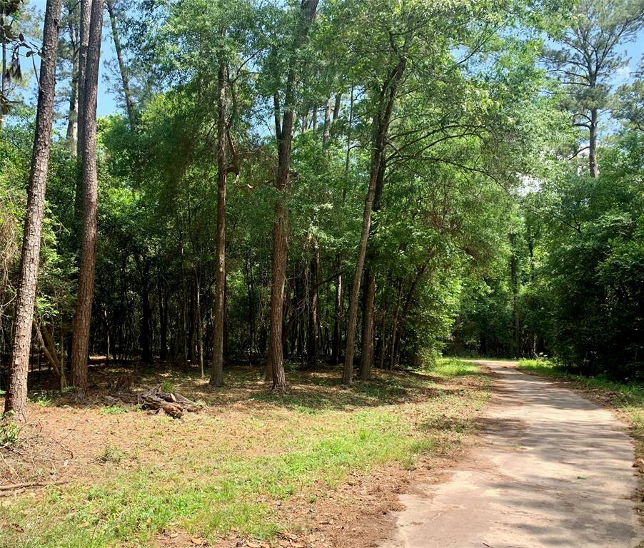 Property Photo: Tbd Wickford Road TX 75979