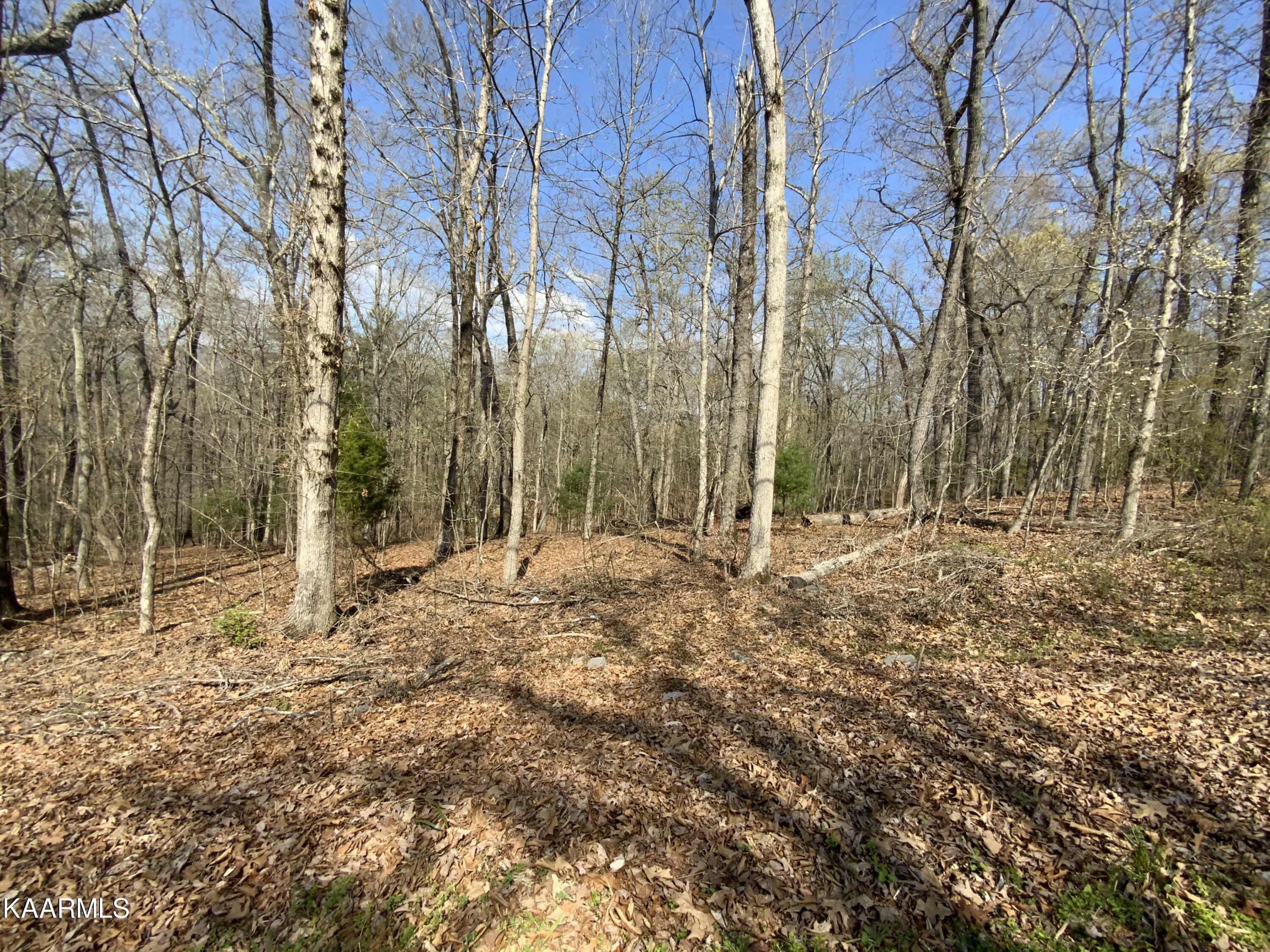 Property Photo:  Rendezvous Rd Lot 21&22  TN 37854 