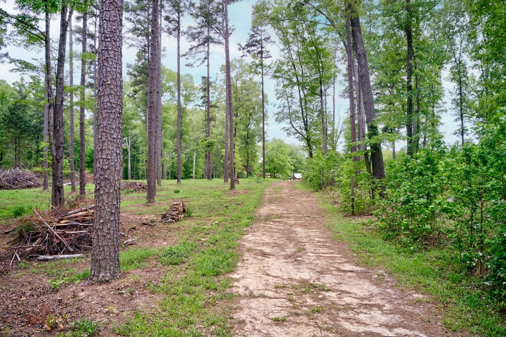 Property Photo:  Lewis Mill Road  VA 23927 