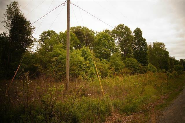 Property Photo:  0 County Road 372  AL 35981 