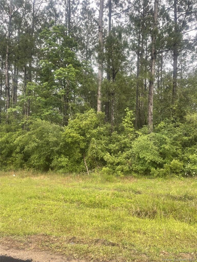 Property Photo: E Allen Drive LA 70657