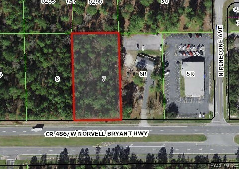 Property Photo:  2457 W Norvell Bryant Highway  FL 34461 