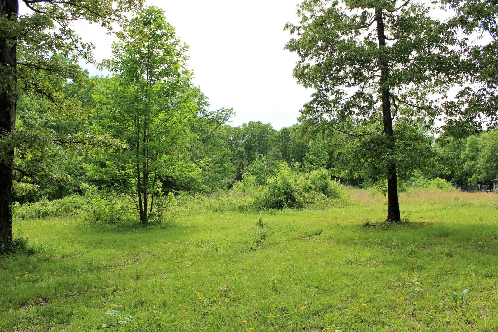 Property Photo: 0 Duncan Dr TN 37330
