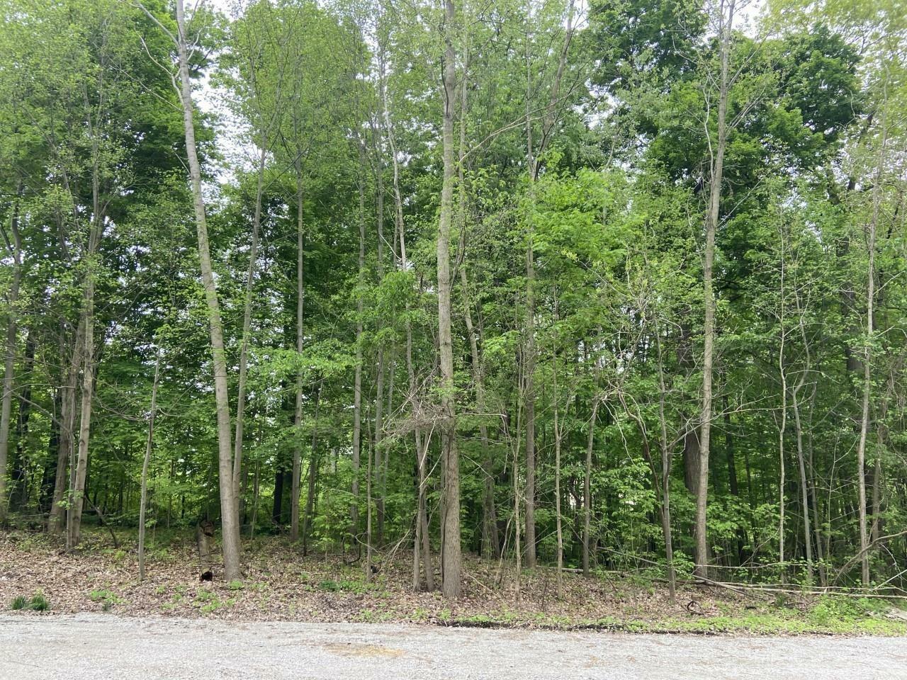 Property Photo:  Lot #178 Carnoustie Circle  IN 46755 