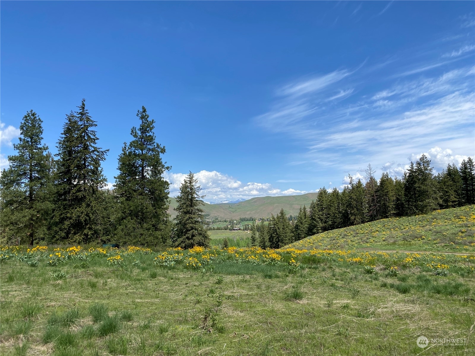Property Photo: 102 Elbow Canyon Road WA 98856