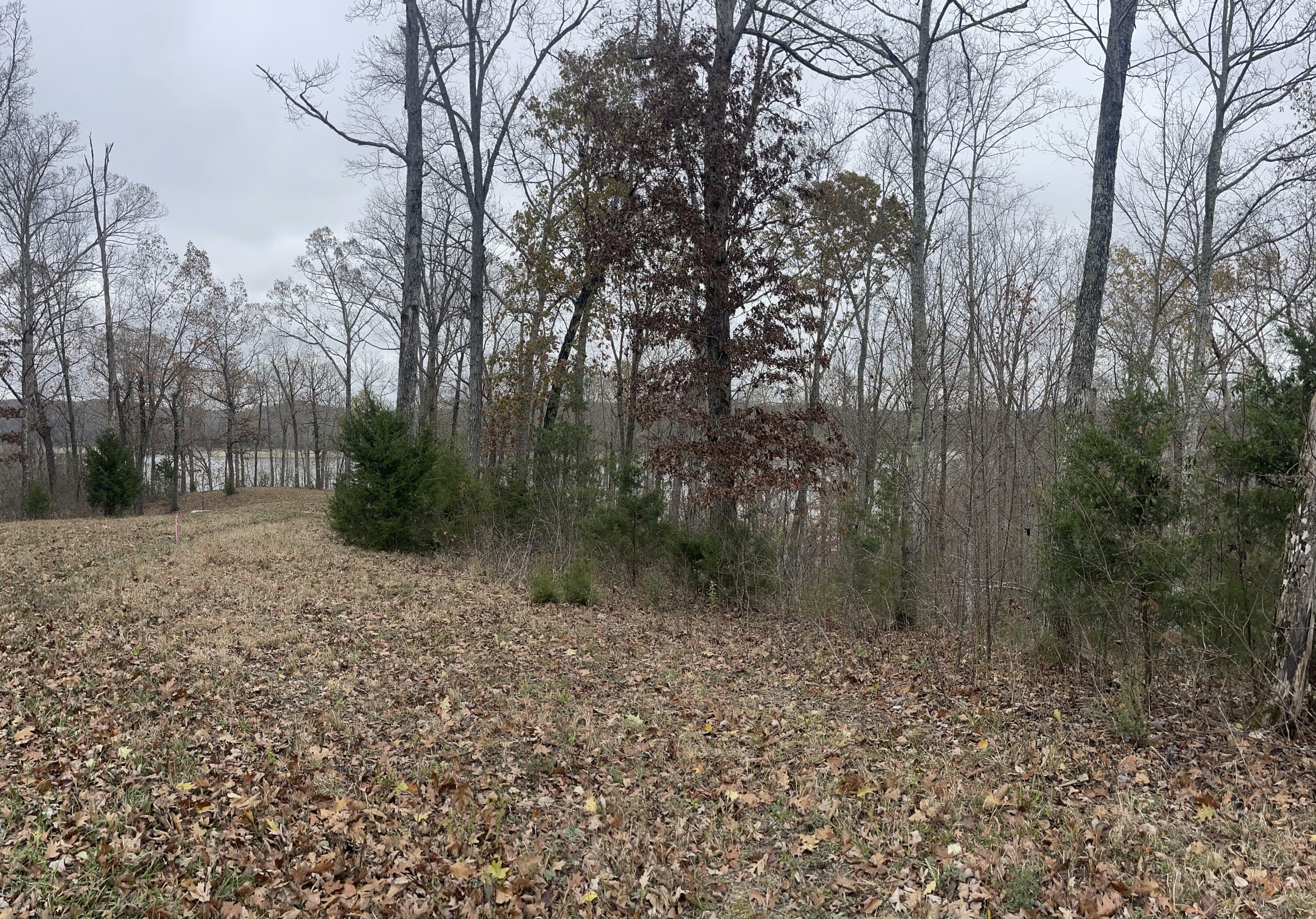 Property Photo:  Lot 28 Cumberland Shores  KY 42633 