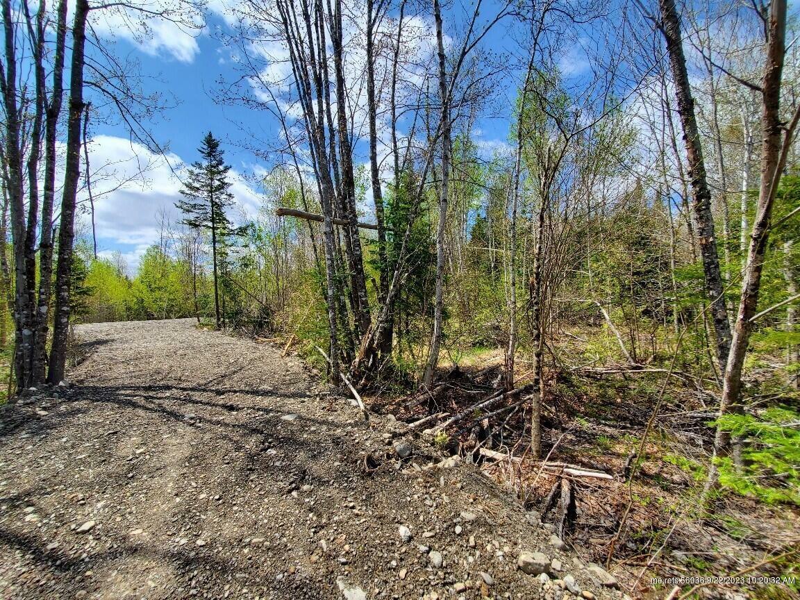 Property Photo:  Lot#2 Cone Road  ME 04471 