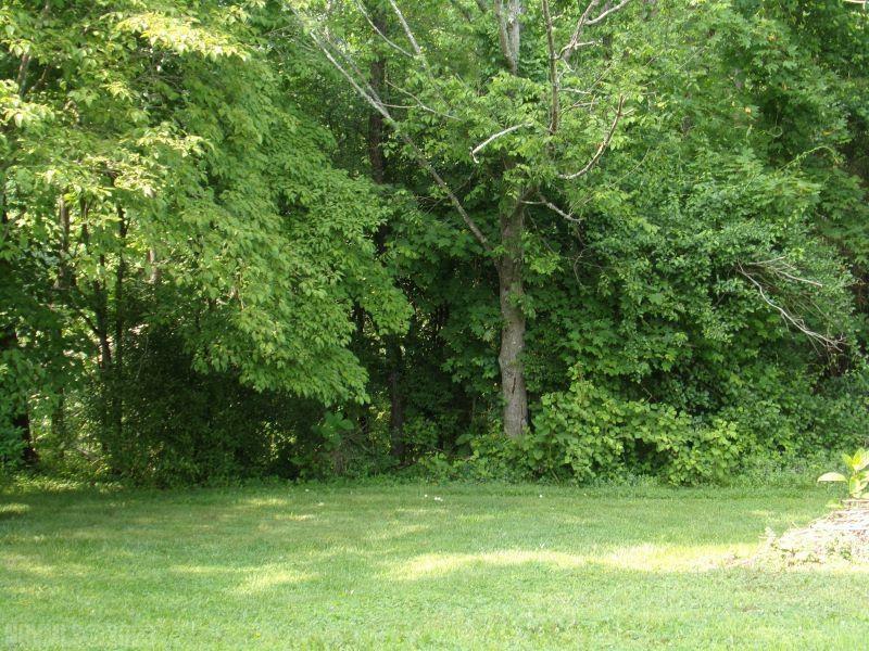 Property Photo:  Tbd Horseshoe Farm Road  VA 24136 