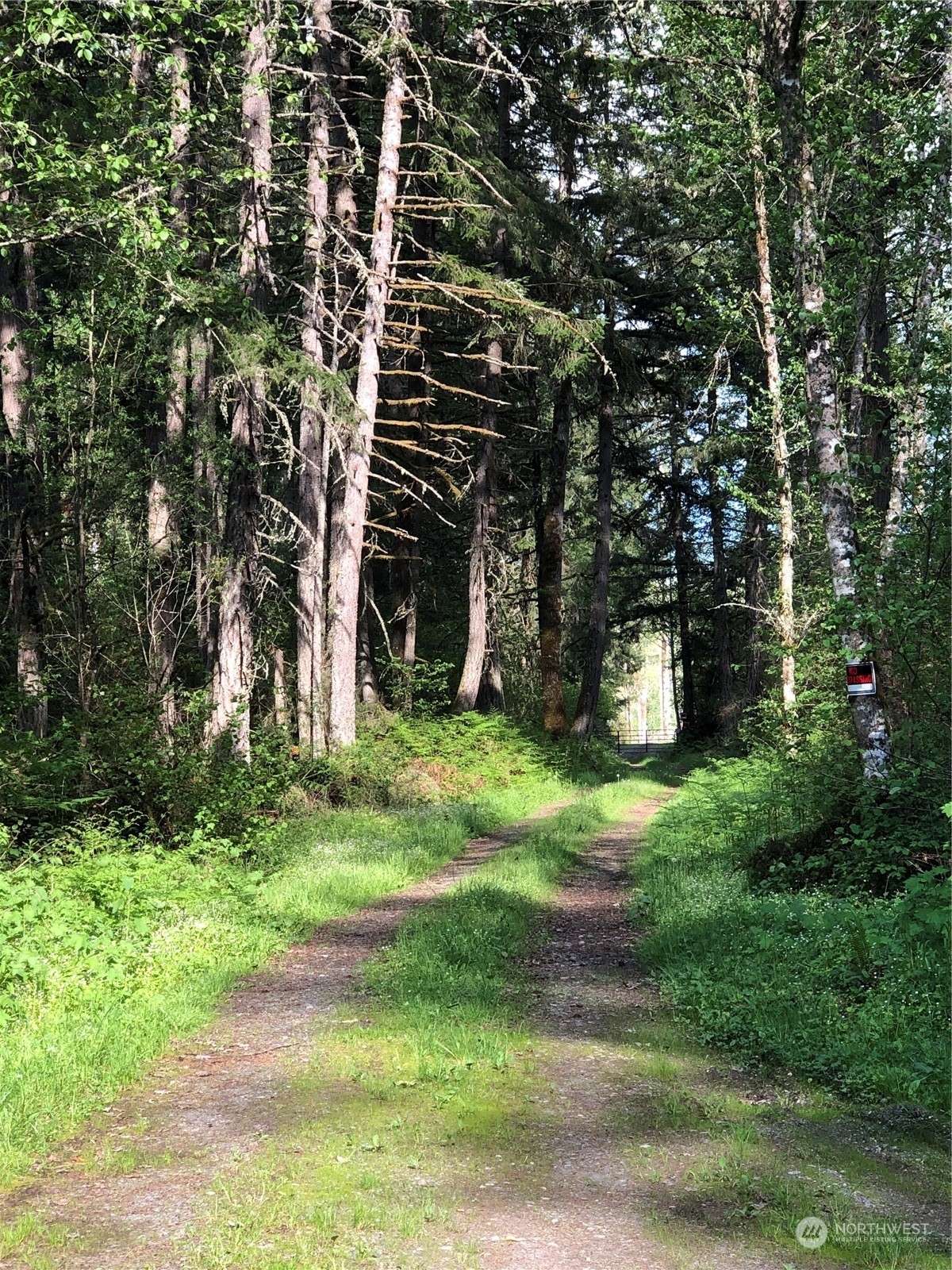 Property Photo: 0 340th Street E WA 98580