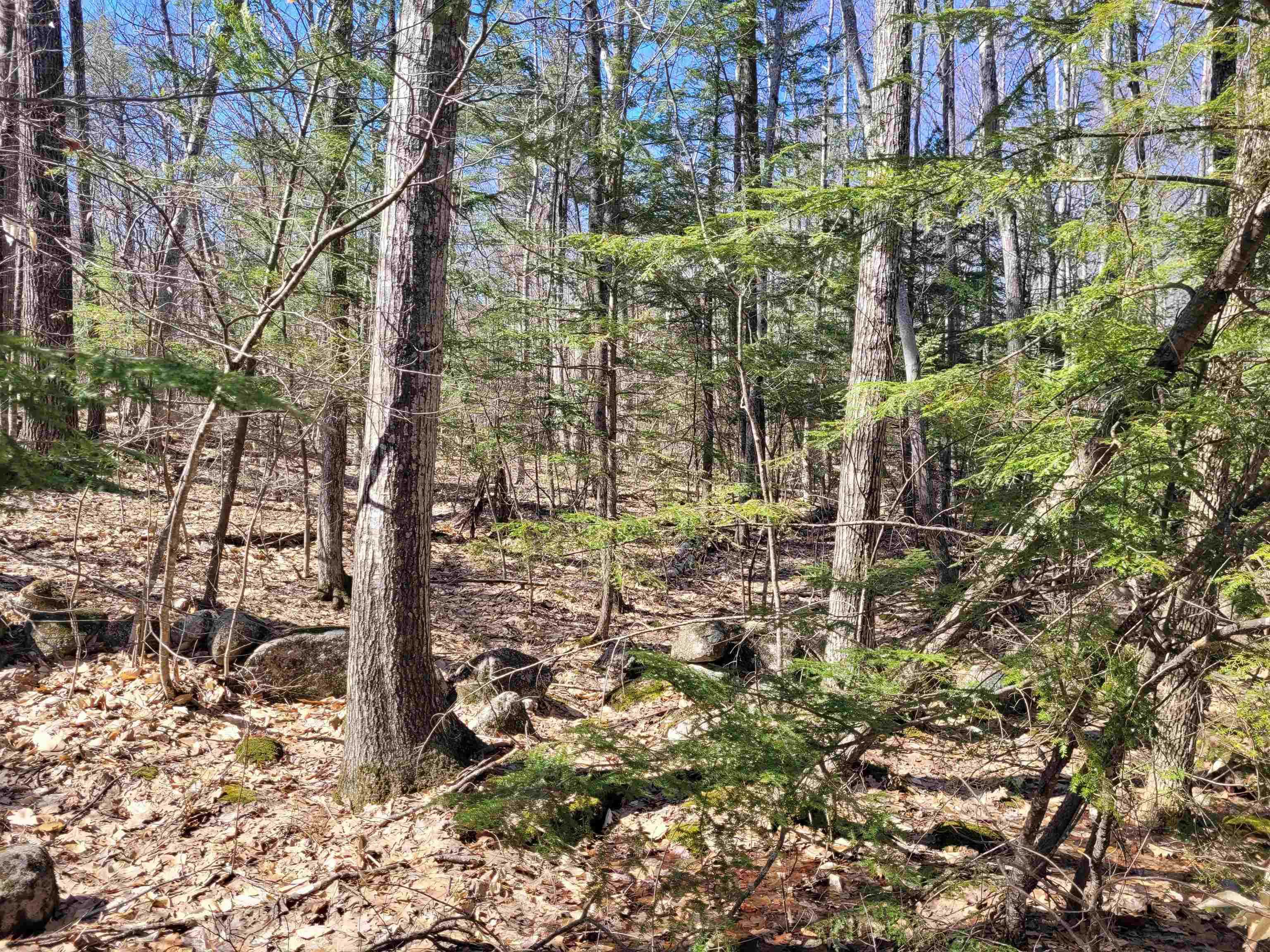 Property Photo:  Lot 8 Merrymeeting Road  NH 03855 