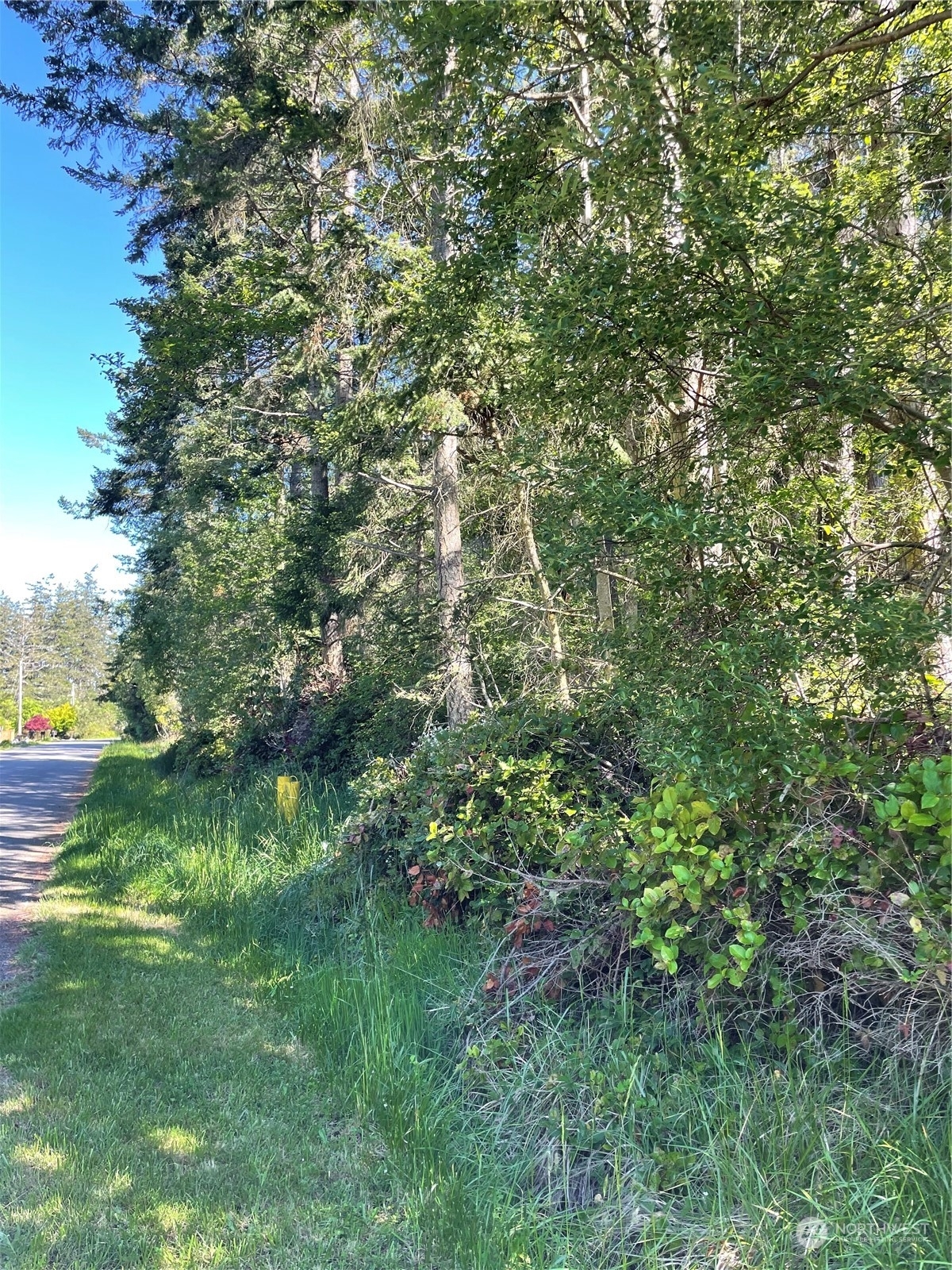 Property Photo:  0 Nhn Harbor View Drive  WA 98260 