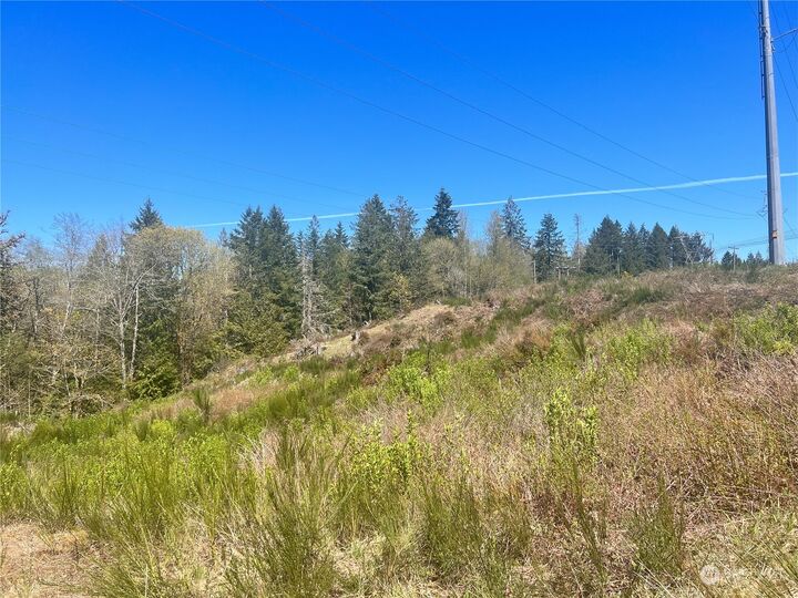 Property Photo: 214 Xx E State Route 3 WA 98528
