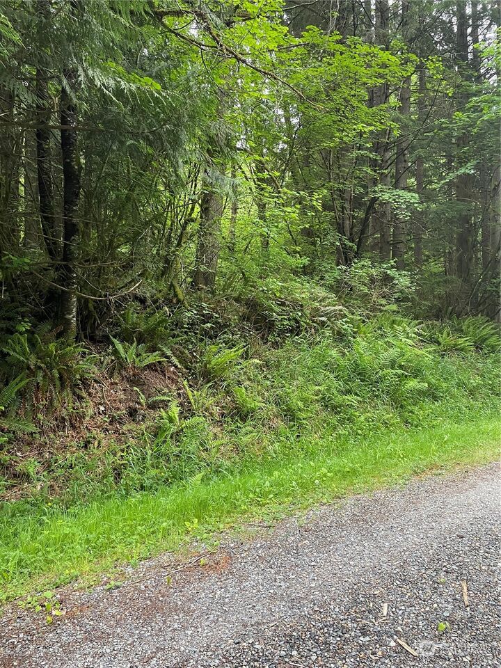 Property Photo: 251 Lot 002 Woods Creek Road WA 98290