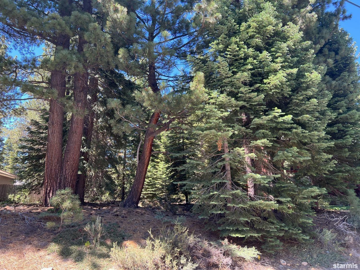 1672 Crystal Air Drive  South Lake Tahoe CA 96150 photo