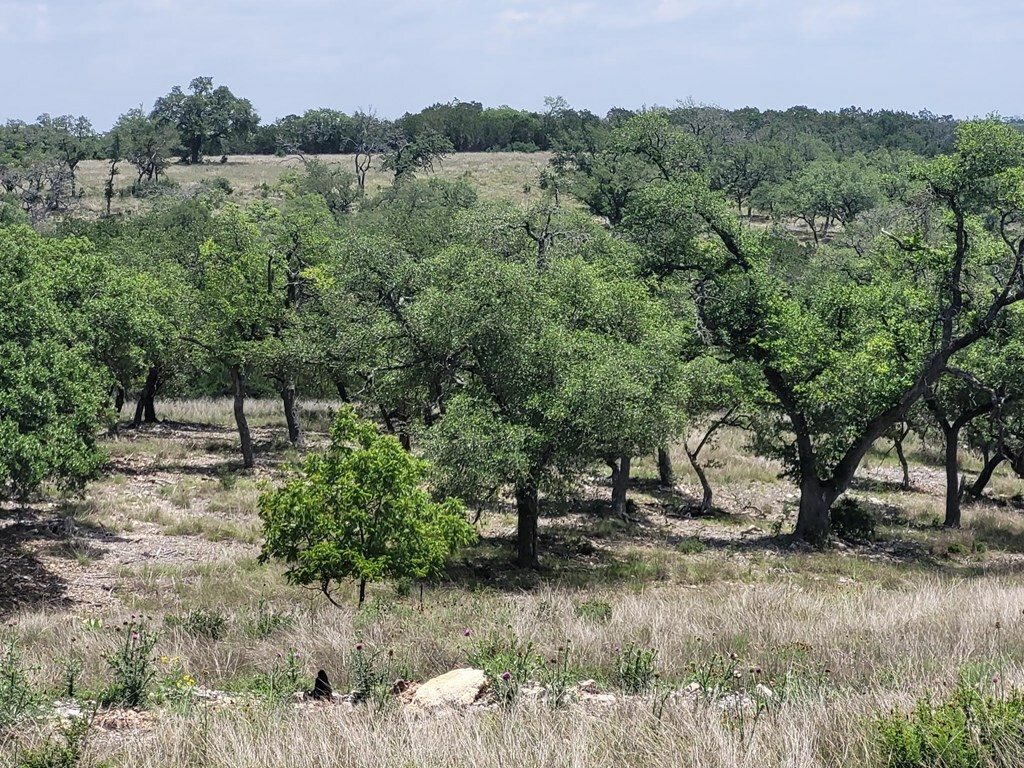 Property Photo: 0000 NW Mayers Ridge Dr TX 78028
