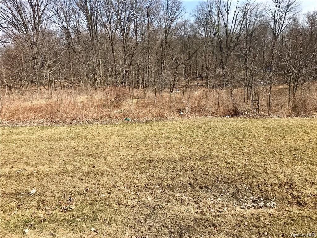 Property Photo:  Mt Orange Road  NY 10940 