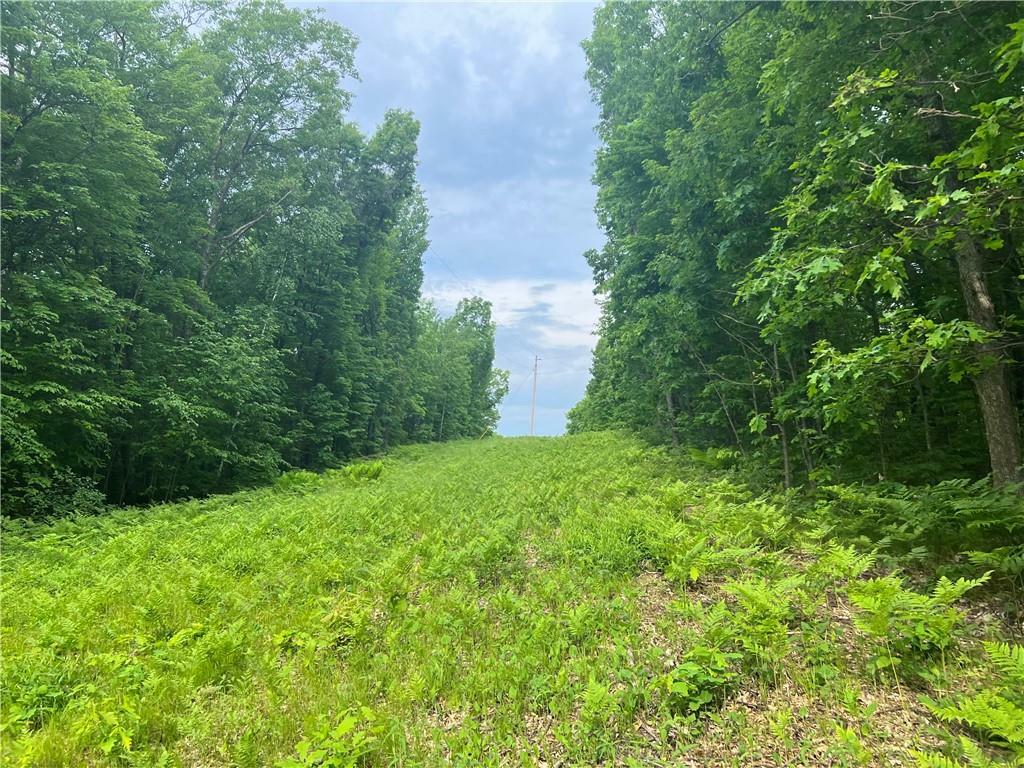 Property Photo: 0 Oak Hill Roads WI 54888