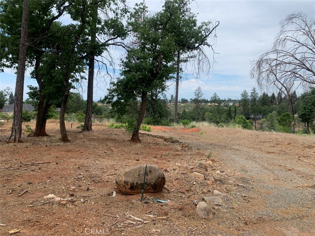 Property Photo:  5449 Harrison Road  CA 95969 