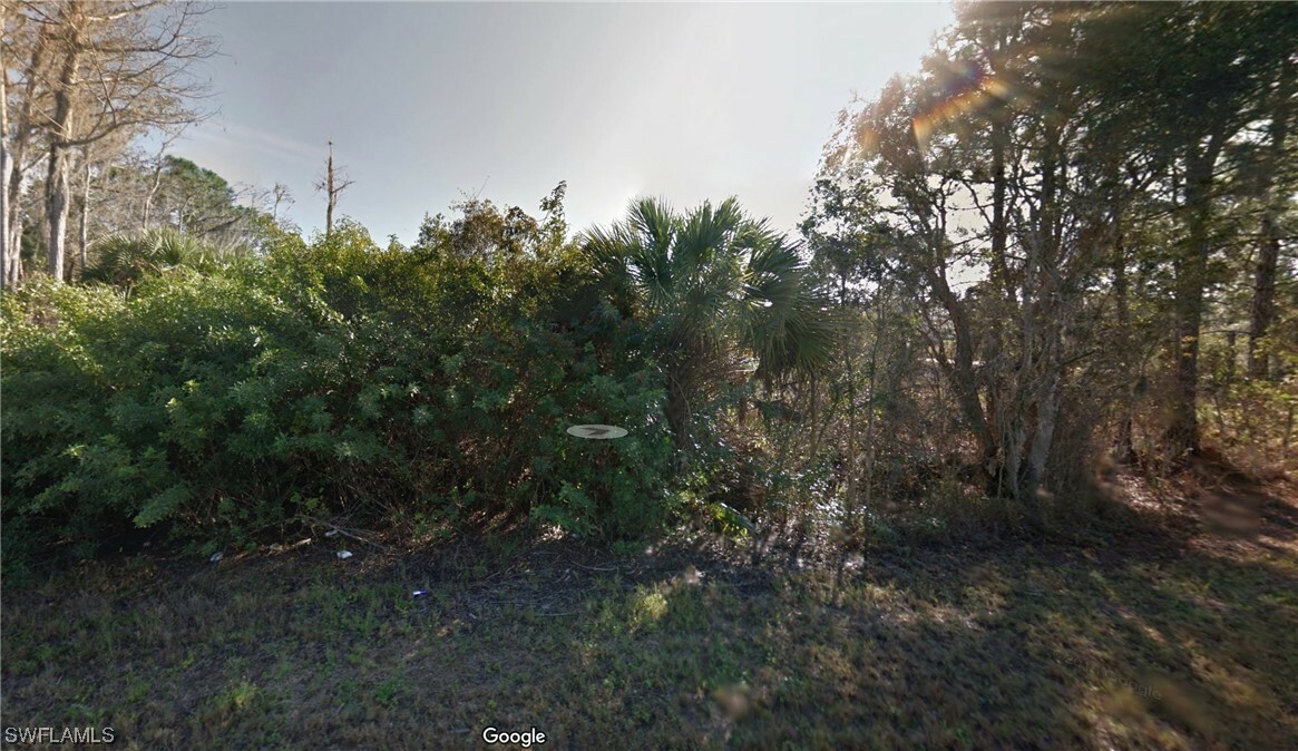 Property Photo:  813 Gaylord Avenue S  FL 33974 